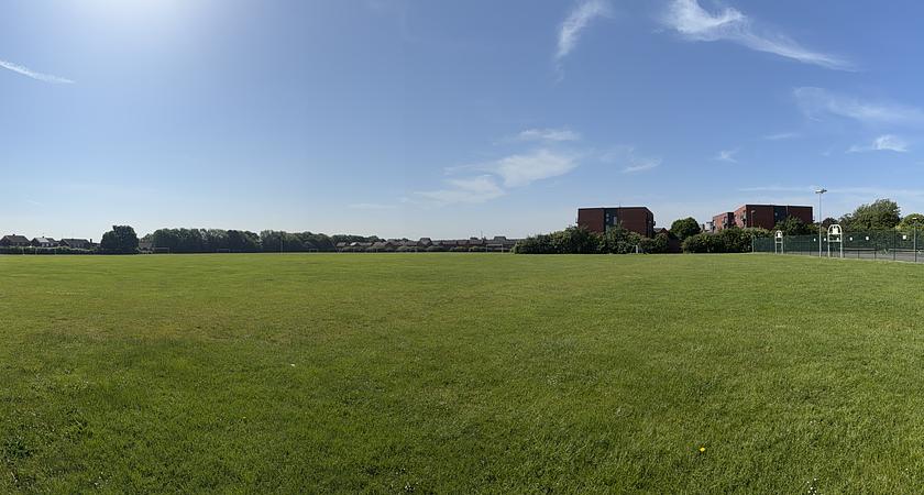 Grass Field gallery image 1