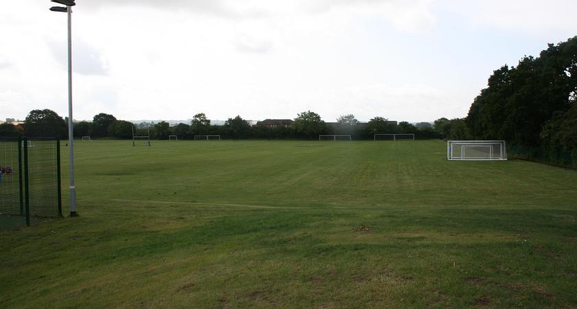 Grass Field gallery image 0