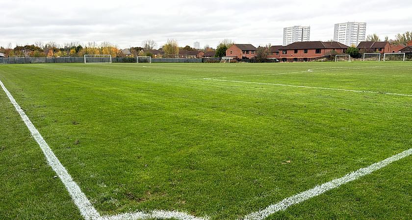 Grass Field gallery image 0