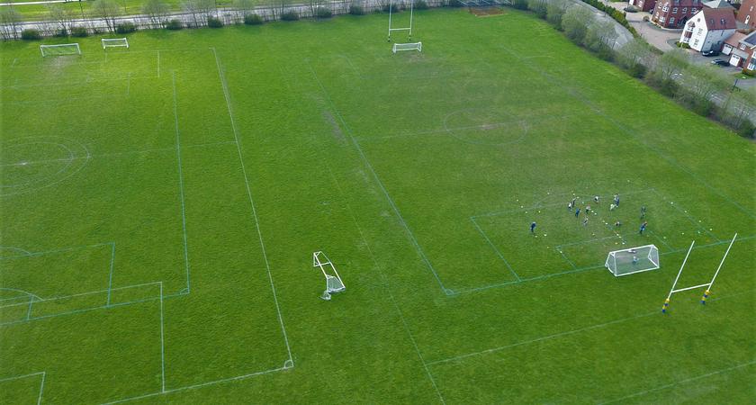 Grass Field gallery image 1