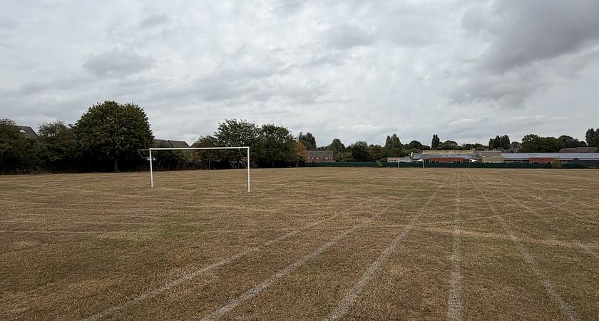 Grass Field  gallery image 0
