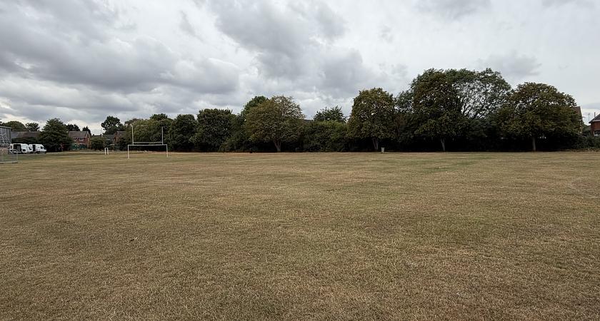 Grass Field  gallery image 1
