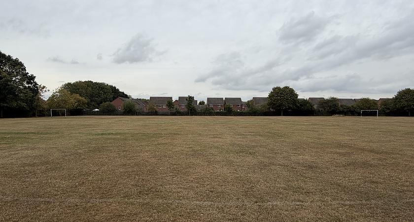 Grass Field  gallery image 2