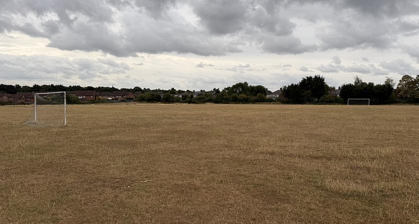 Top Grass Field gallery image 0