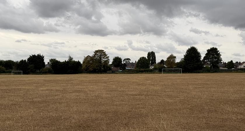 Top Grass Field gallery image 1