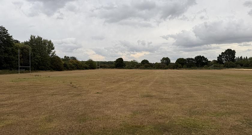 Bottom Grass Field gallery image 0