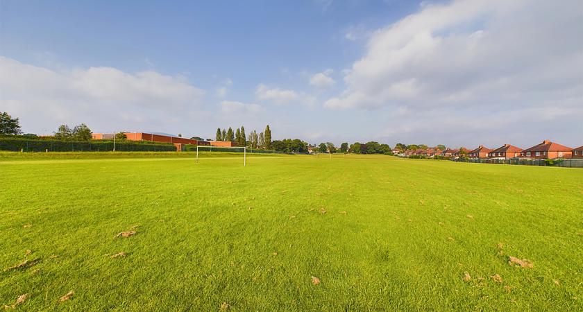 Grass - Bungalow Field gallery image 0