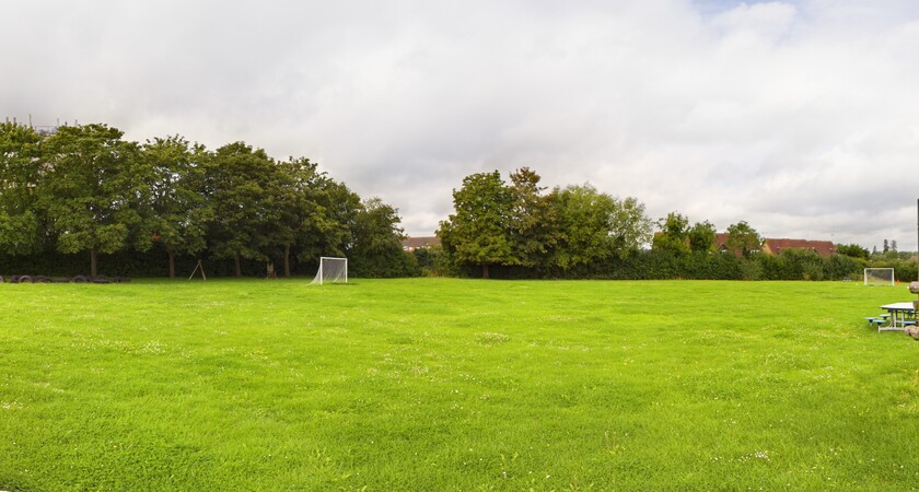 Field gallery image 1