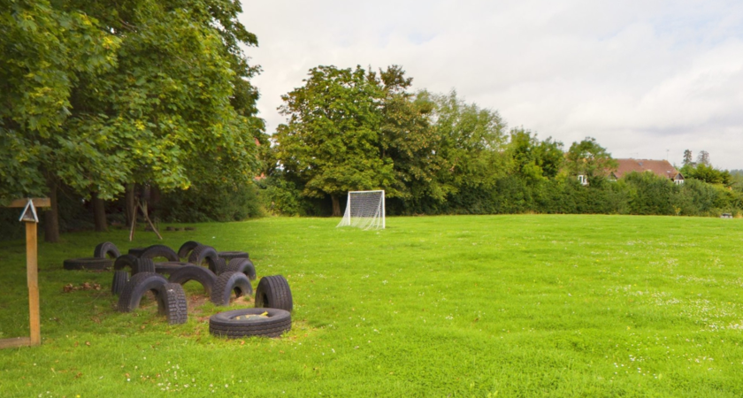 Field gallery image 0