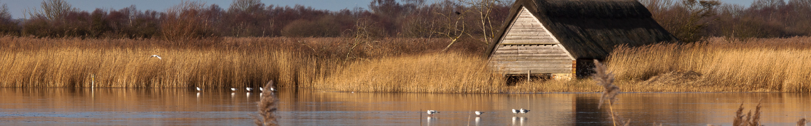 Why Choose SG Corporate Services