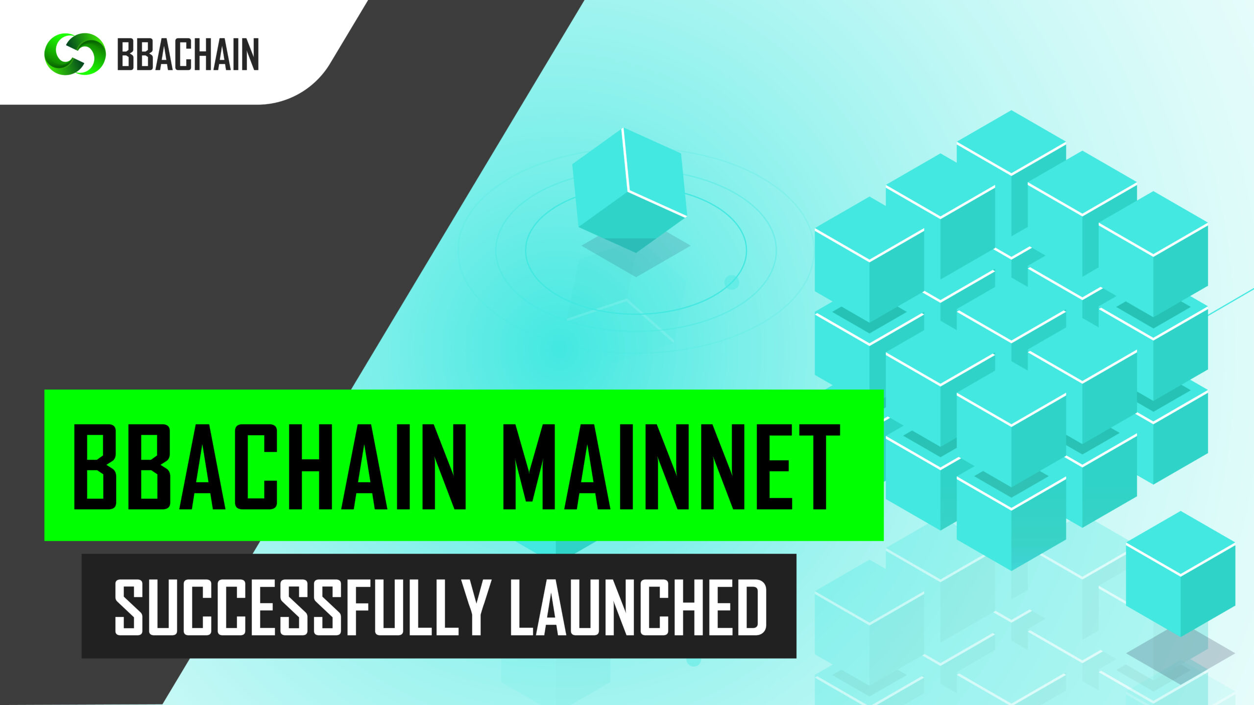 BBACHAIN Hits Major Milestone: Mainnet Successfully Launched!