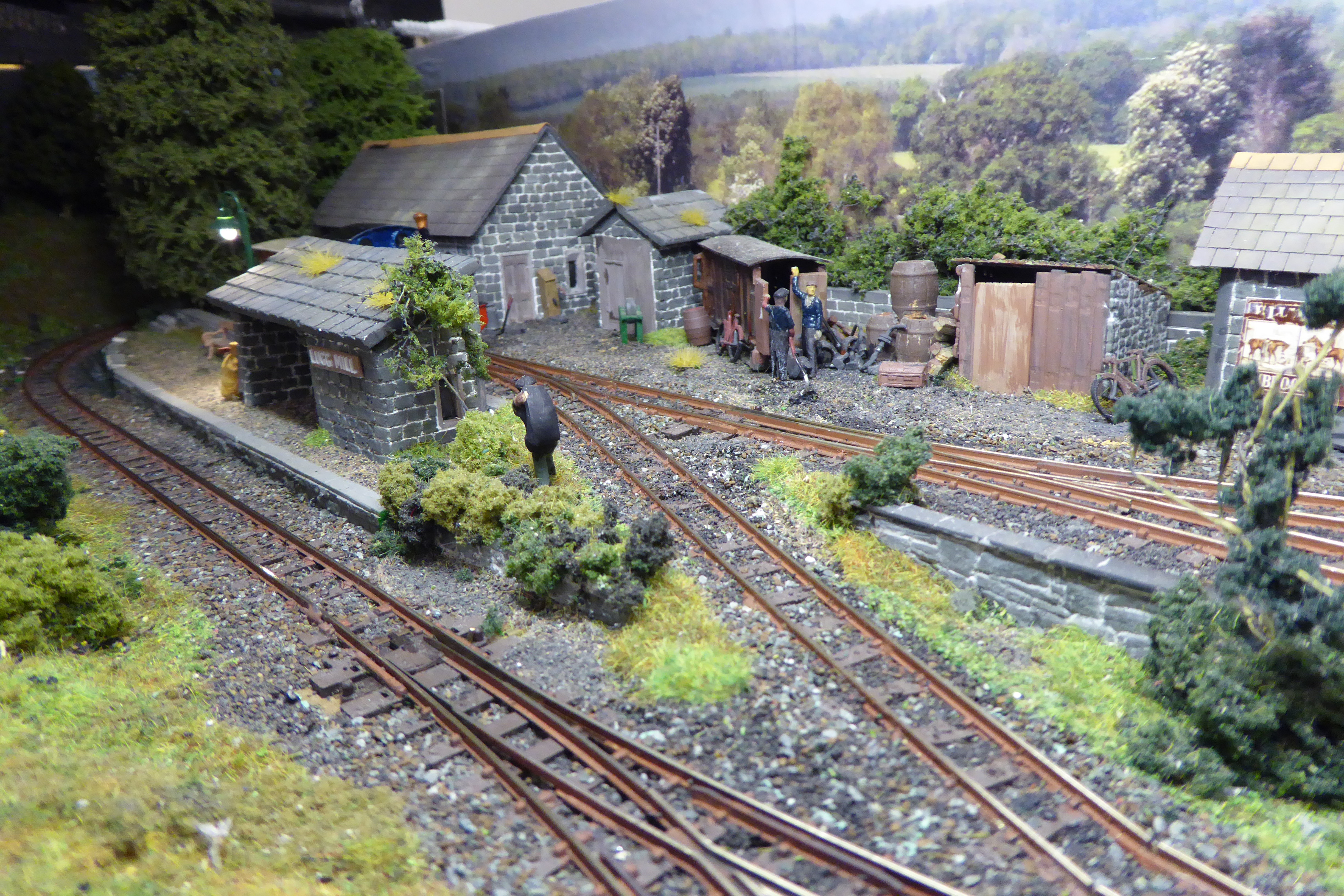 narrow gauge model railway layouts