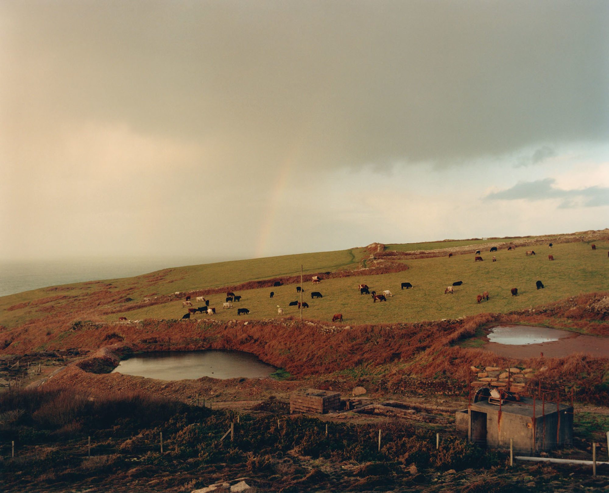 <h2>Jamie Hawkesworth</h2>'s Work