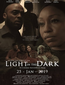 Light in the Dark Poster