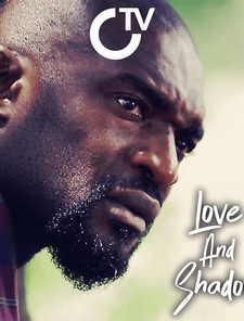 Love And Shadow Poster