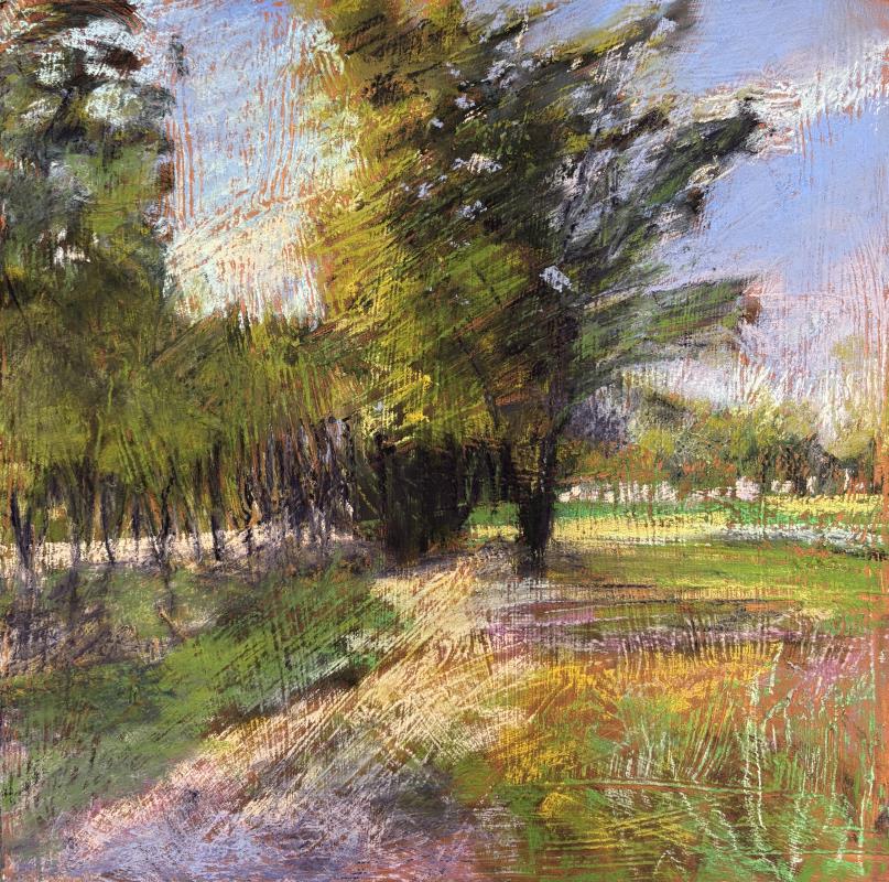 Summer Meadow