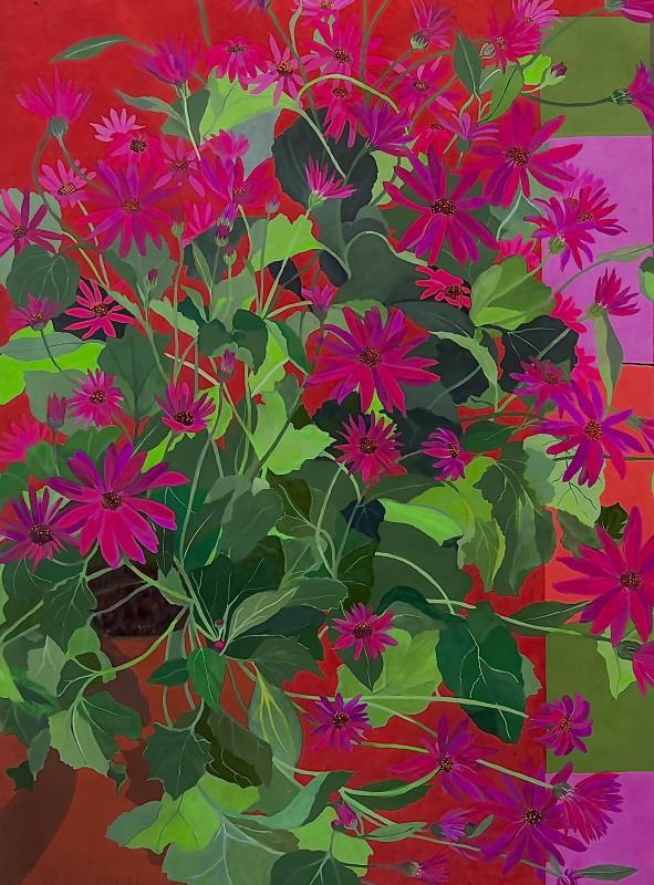 Senetti Reds 
