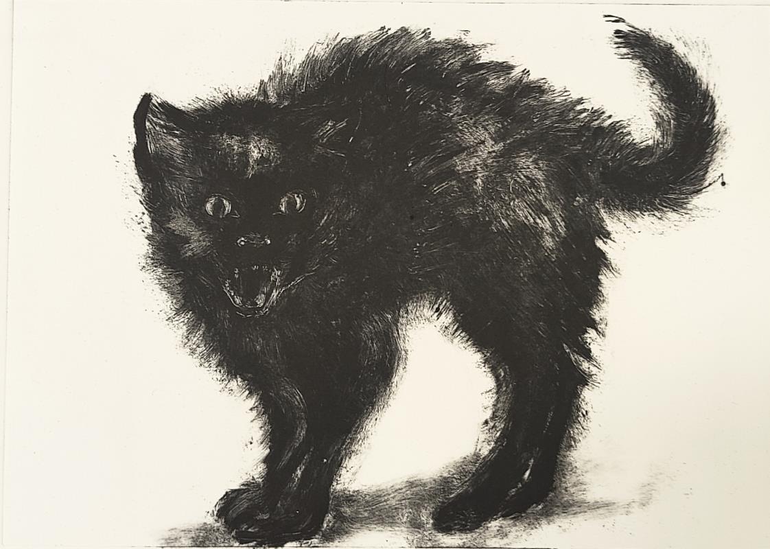 'Scaredy Cat'
