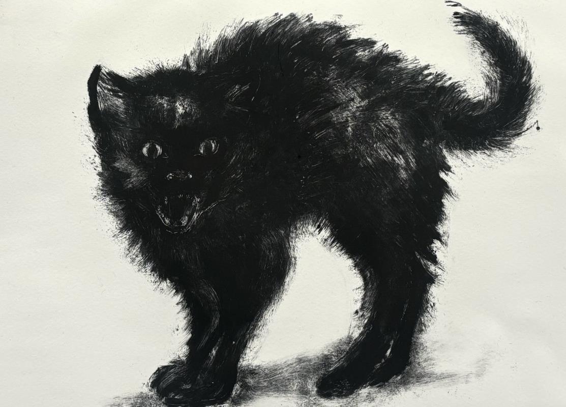 'Scaredy Cat'