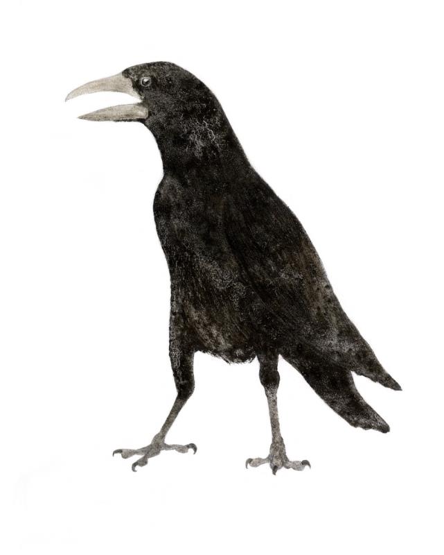 Earth Crows