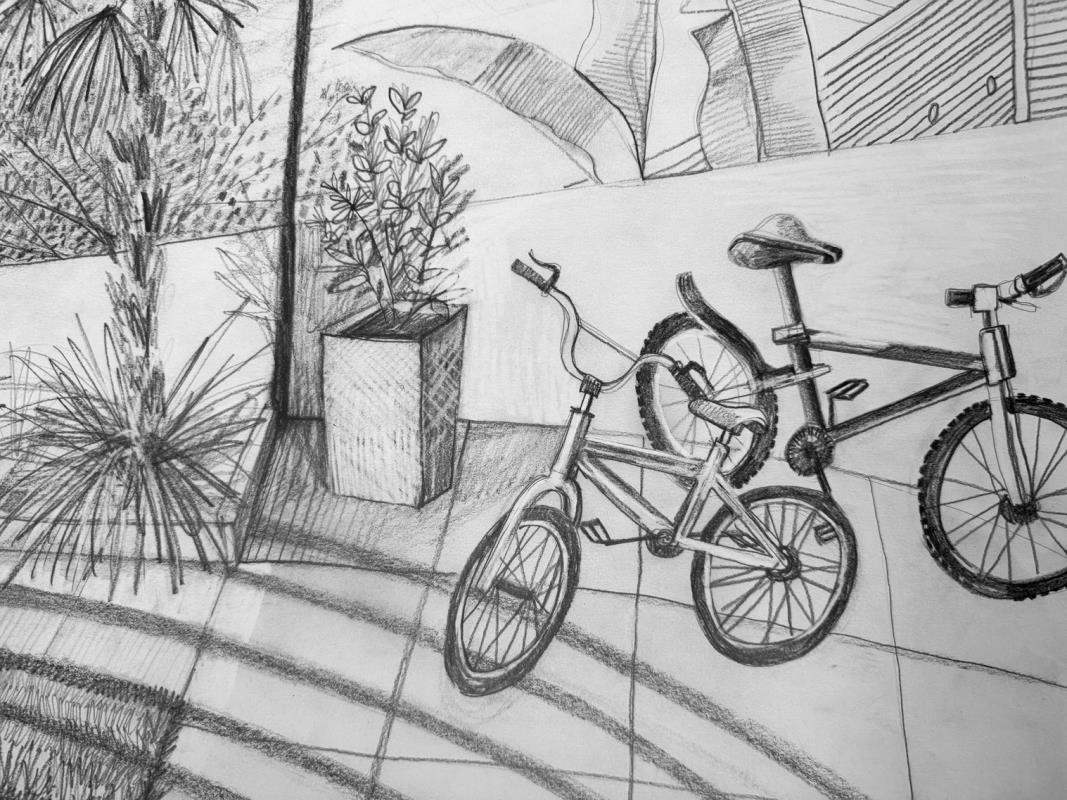 Journey Through (The Garden And Down The Road)