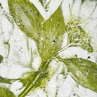 In a quiet corner of the garden