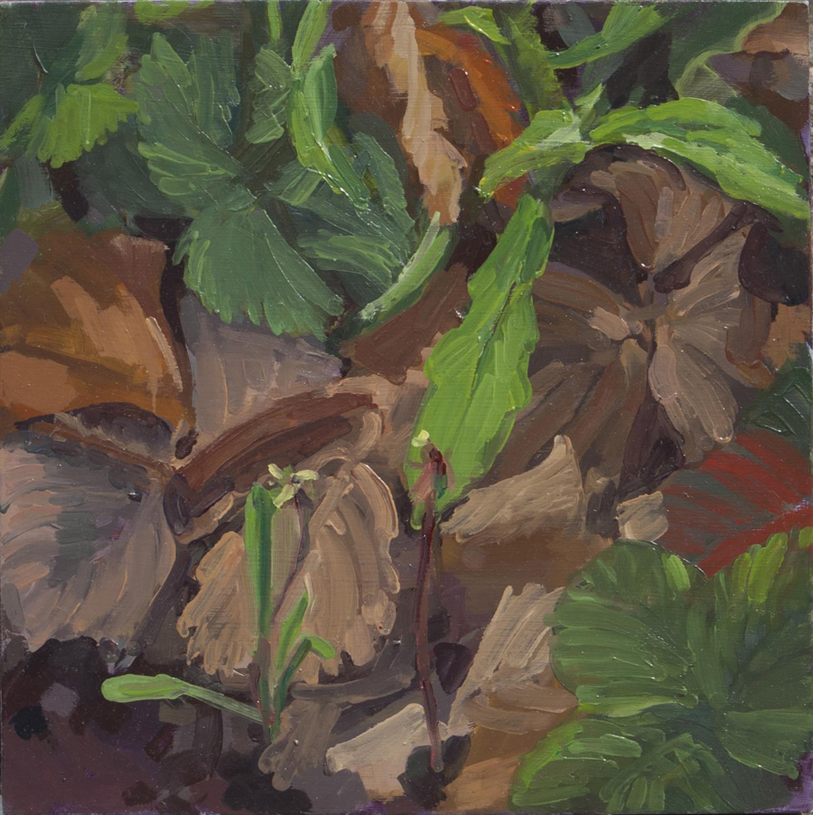 Of the Rolling Earth III.