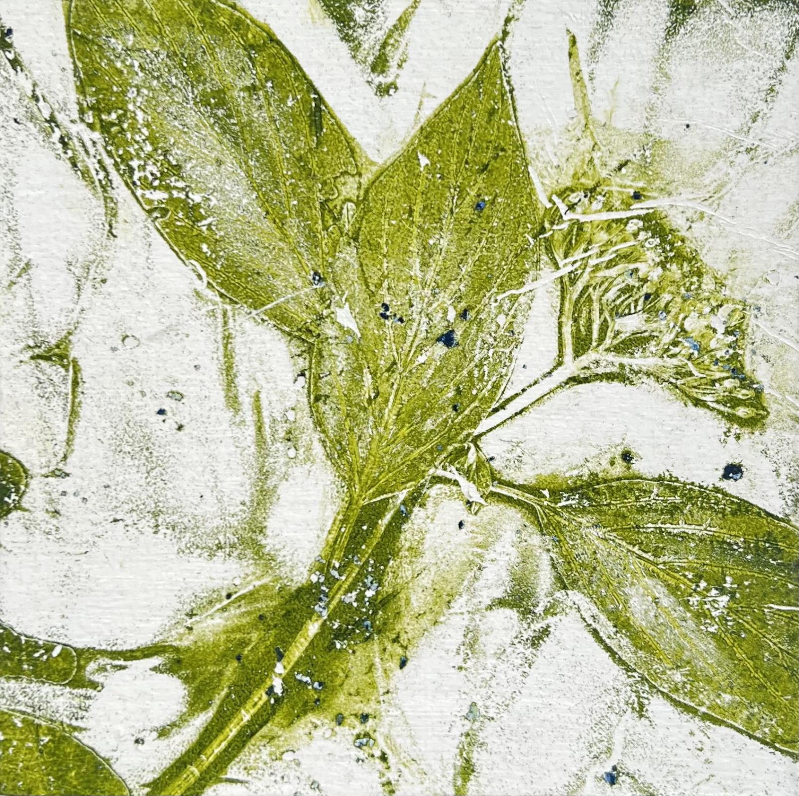 In a quiet corner of the garden