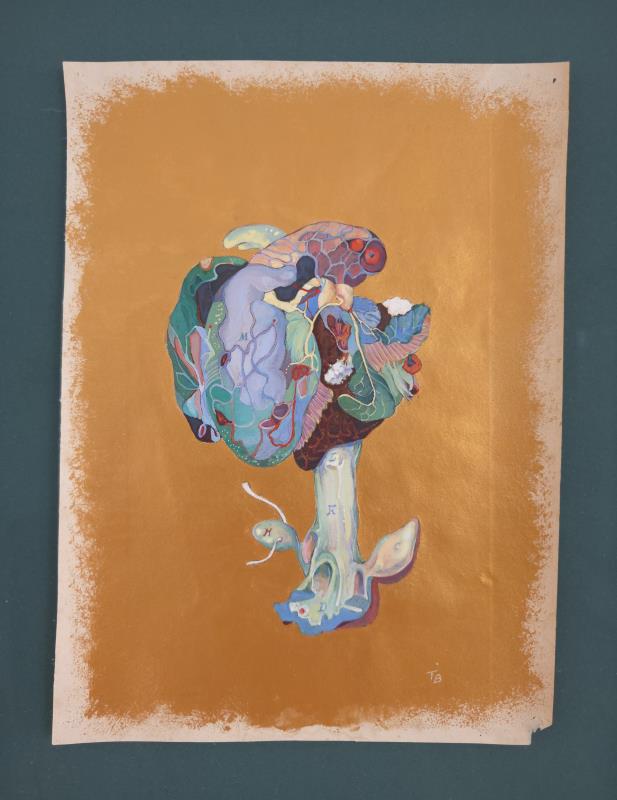 The Beauty and Transience of Life (01)