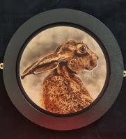 Hare