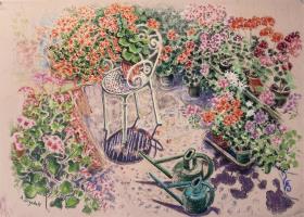 Pelargoniums in the Conservatory