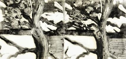 Oaks by Field and Water