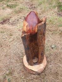 Heart of the Forest No. 3