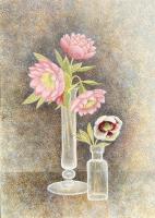 Hellebores 