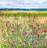 Late Summer Meadow