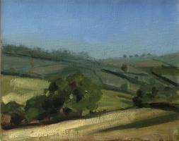 Fields in May