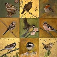 Garden Birds
