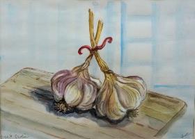 Giant Garlic