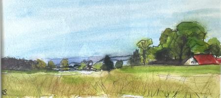 Minchinhampton Common, Gloucestershire 