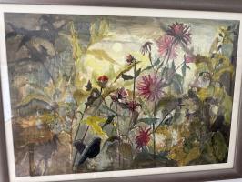 Blackbird in the dahlias 