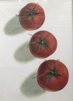 Red tomatoes 