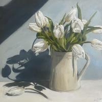 Tulips in the morning light