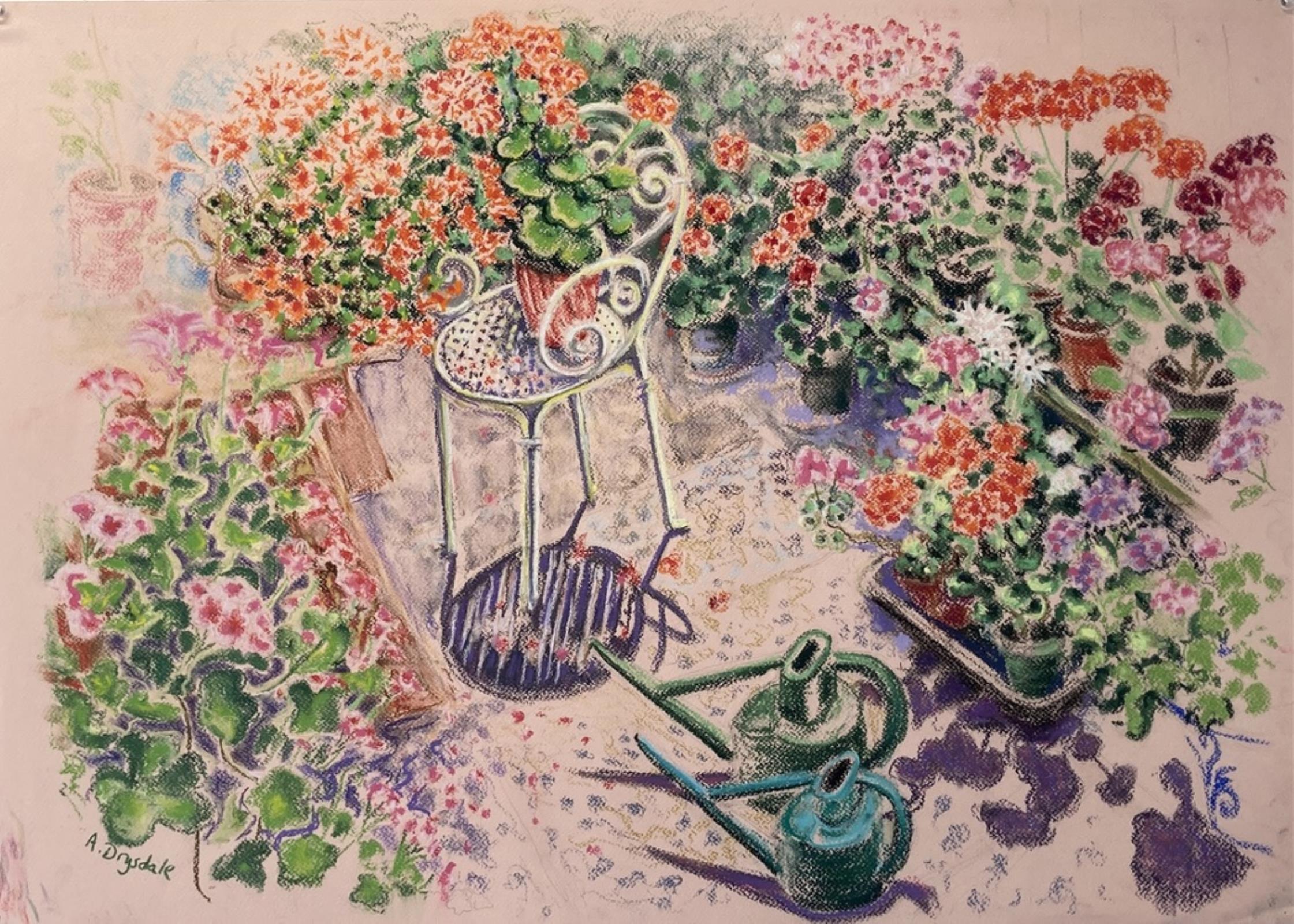 Pelargoniums in the Conservatory