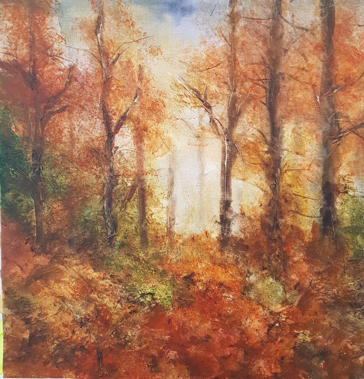 Into the woods