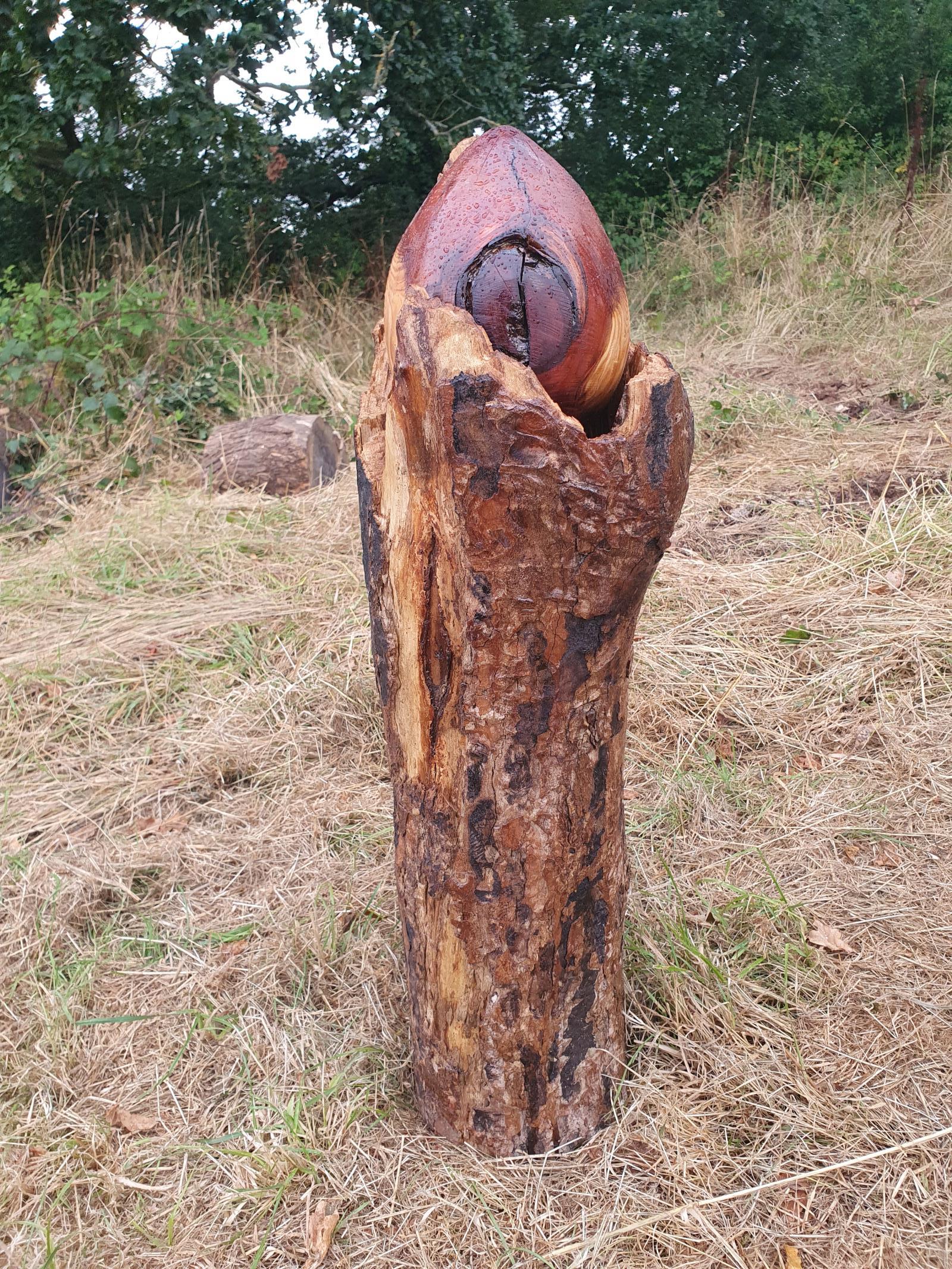Heart of the Forest No. 2