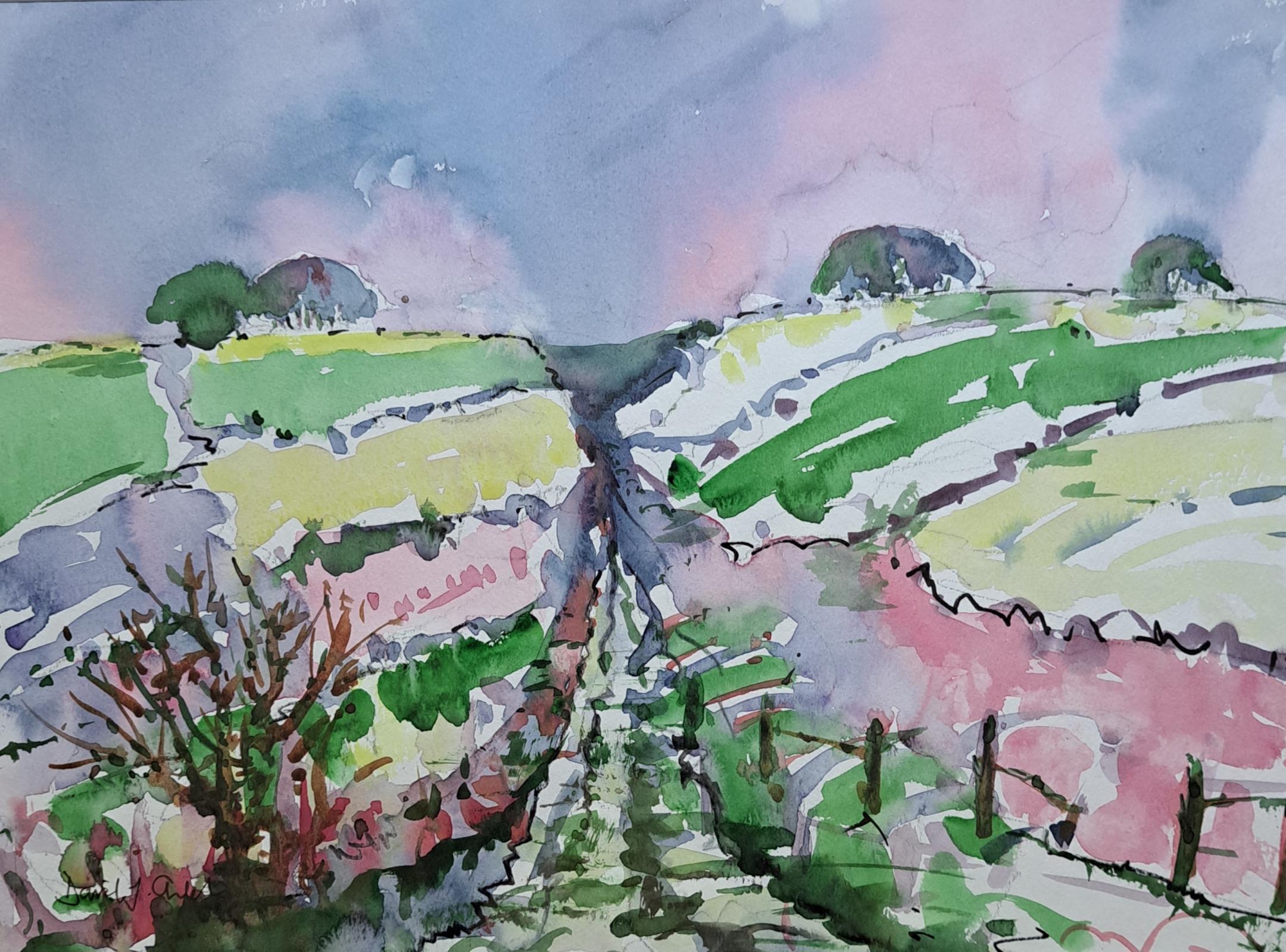 Evening Light on the Downs