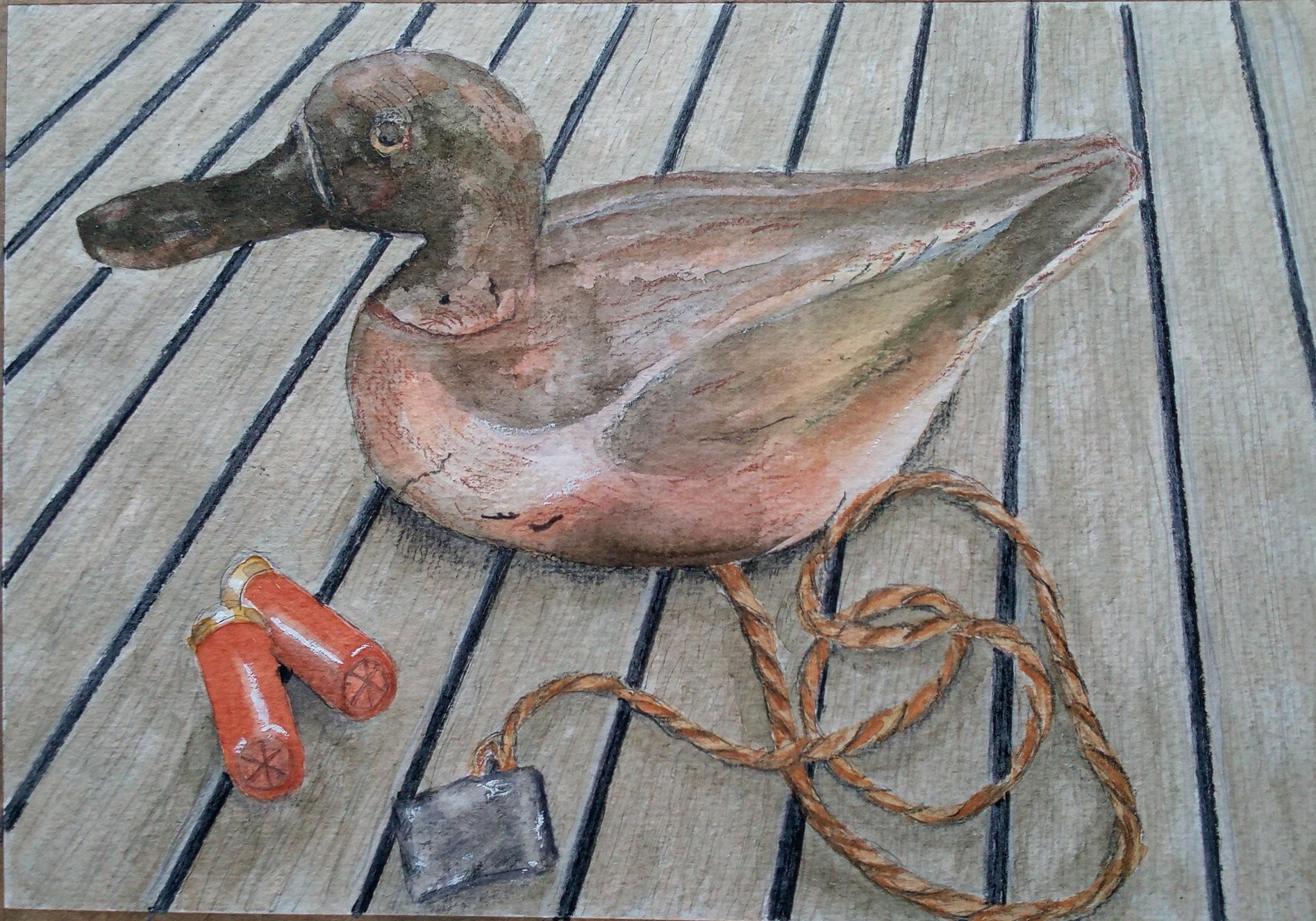 Duck Decoy