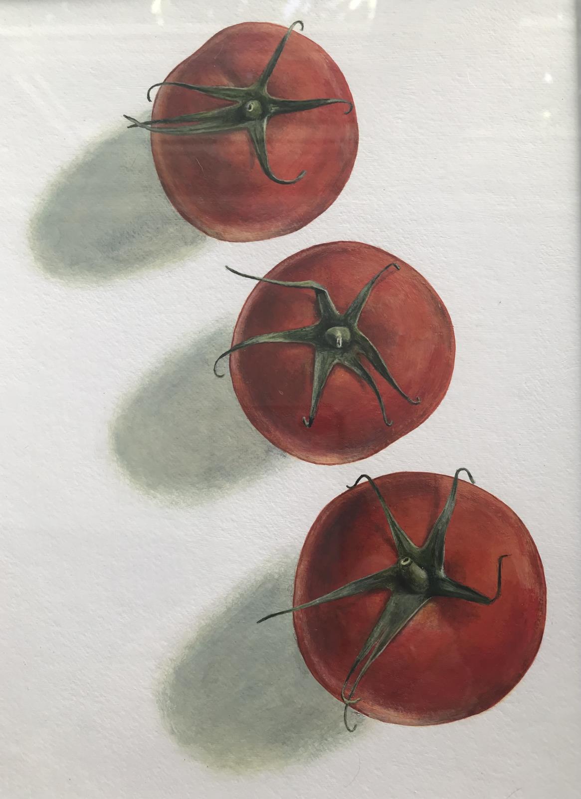Red tomatoes 