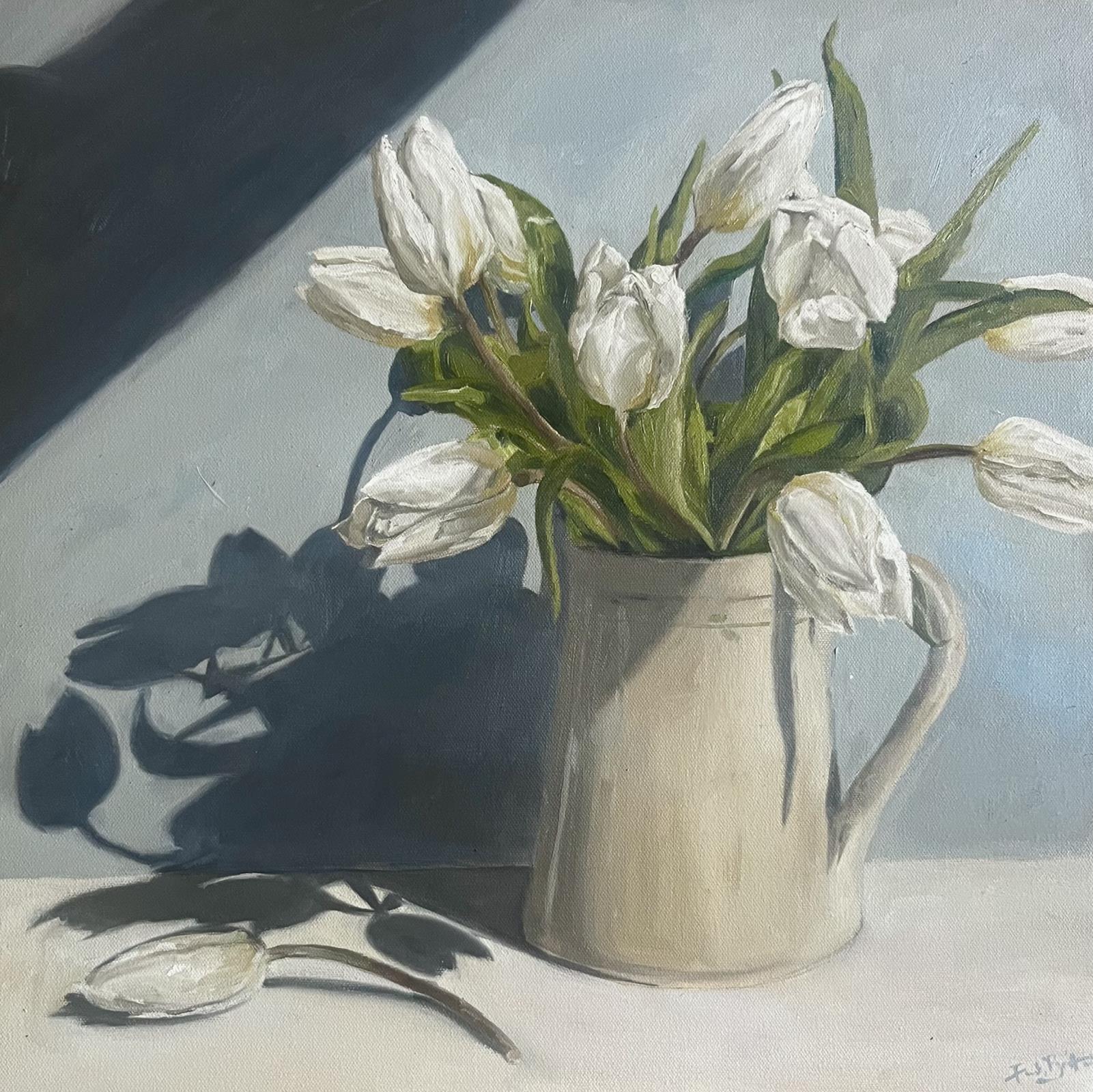 Tulips in the morning light