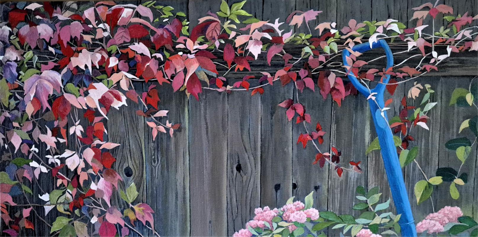 Virginia Creeper
